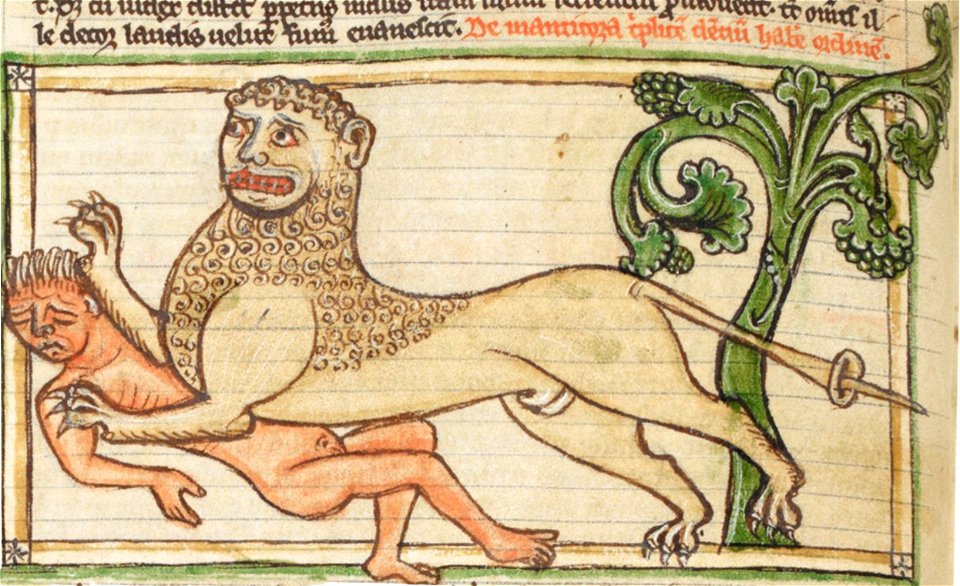 Manticore 3244