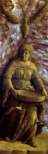 Mantegna, tuccia