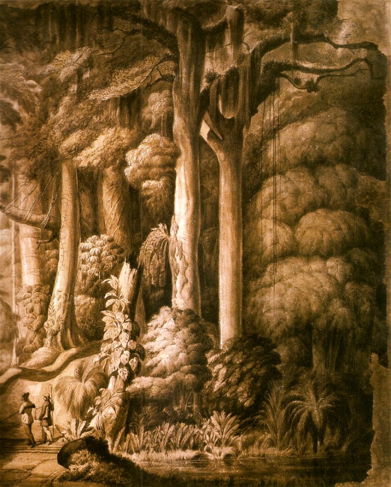 Manuel de Araújo Porto Alegre - Floresta Brasileira (detalhe)