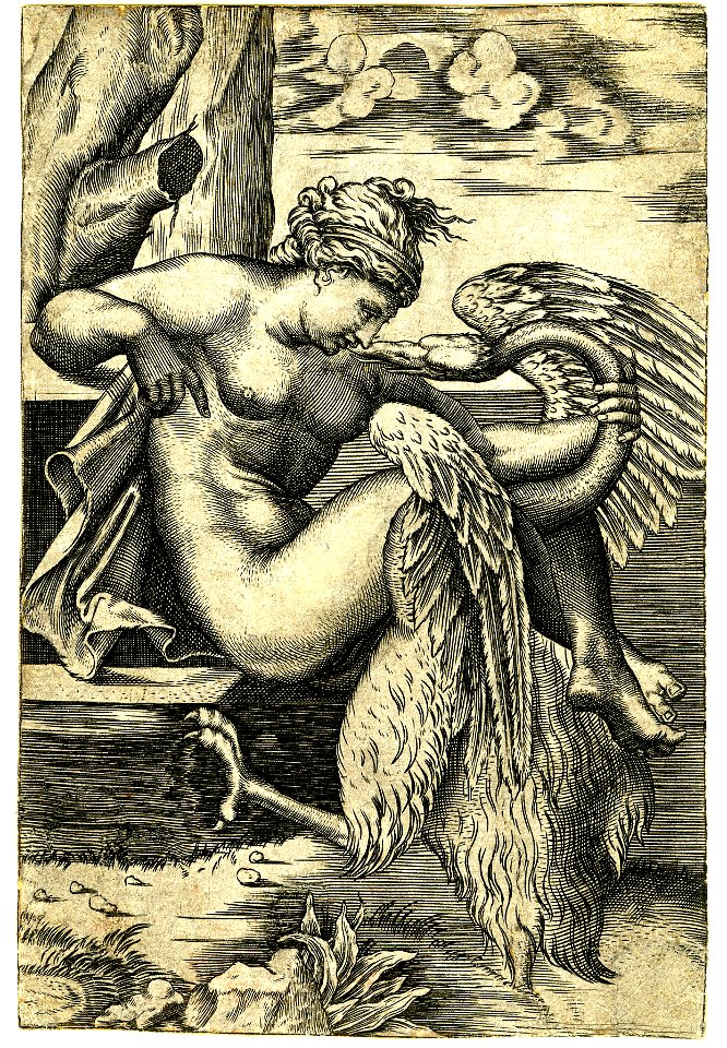 Marco da Ravenna - Leda, nude, Ii,16.9