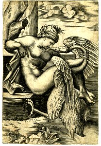 Marco da Ravenna - Leda, nude, Ii,16.9