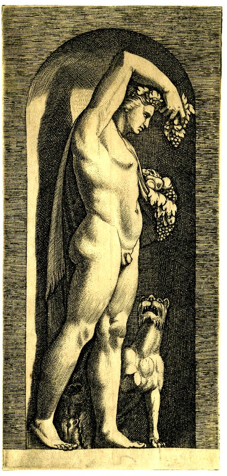 Marco da Ravenna - Bacchus, standing in a niche, H,2.64