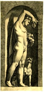 Marco da Ravenna - Bacchus, standing in a niche, H,2.64