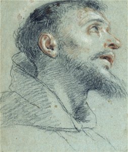 Marco Benefial - Study of the Head of Saint Francis - Google Art Project