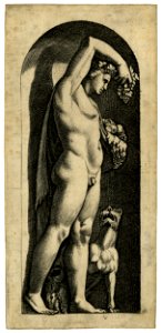 Marco da Ravenna - Bacchus, standing in a niche, 1910,0212.337
