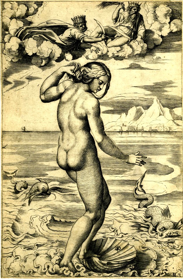 Marco da Ravenna - Venus, viewed almost entirely from behind, H,7.57