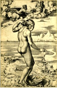 Marco da Ravenna - Venus, viewed almost entirely from behind, H,7.57