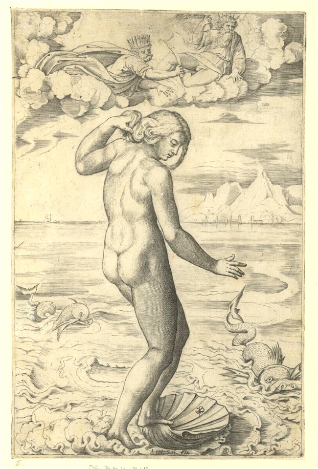 Marco Dente - Geburt der Venus, DG201737112