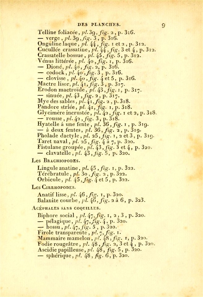 Manuel de l'histoire naturelle des mollusques Table Methodique 5