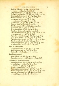 Manuel de l'histoire naturelle des mollusques Table Methodique 5