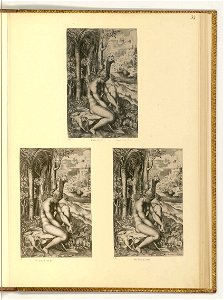 Marco Dente - Venus und die Rose, ItI2133