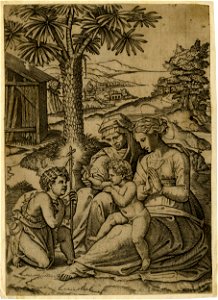 Marco da Ravenna - Attributed to - Madonna of the palm tree, 1874,0808.229
