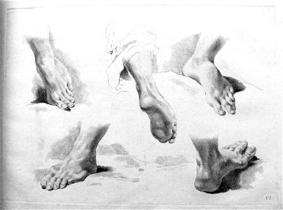 Marco Pitteri - Plate 6 Five studies of feet seen from various angles, four of the left foot and one of the right; with shading. 1760, 1860,1208.289
