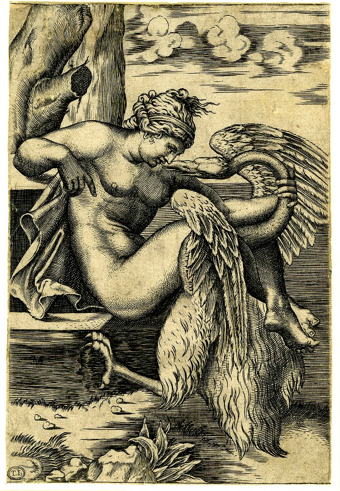 Marco da Ravenna - Leda, nude, sitting on a stone and caressing the neck of a swan with her left hand and leaning back on her right elbow., 1840,0808.8