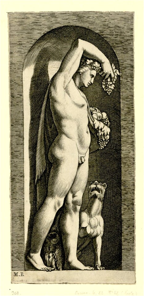 Marco Dente - Bacchus, DG201737108