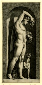 Marco da Ravenna - Bacchus, standing in a niche, H,2.63