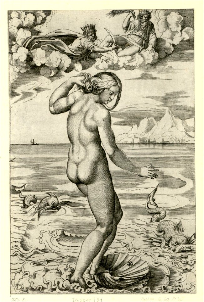 Marco Dente - Geburt der Venus, DG201221