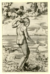 Marco Dente - Geburt der Venus, DG201221