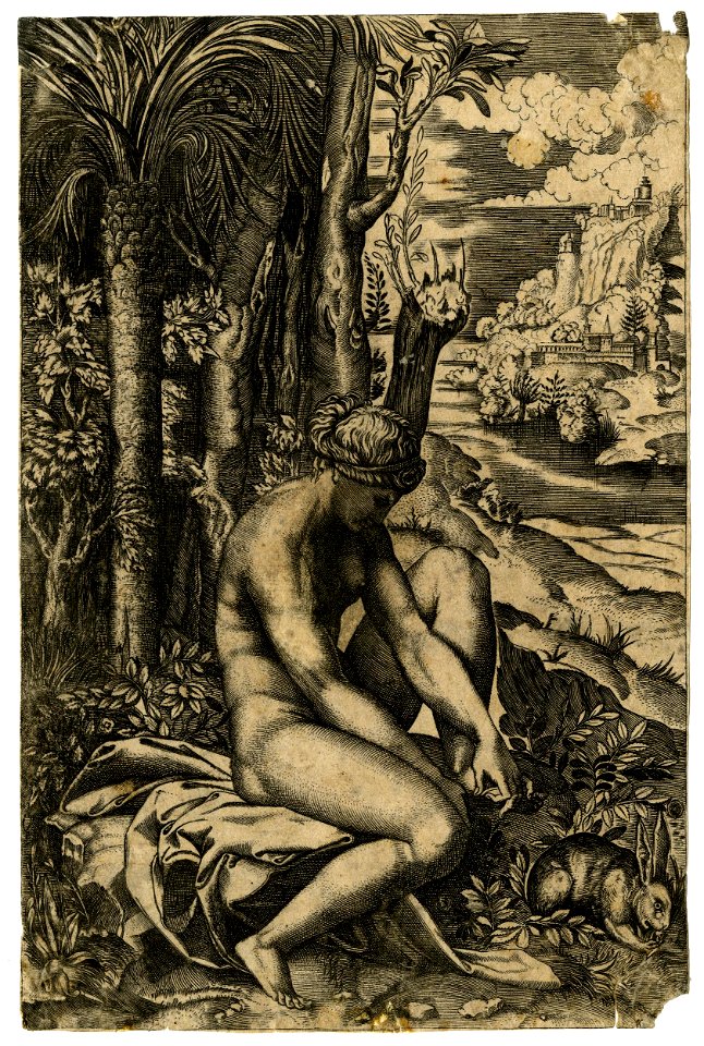 Marco da Ravenna - After - Venus sitting on a piece of drapery on a rock, 1854,0614.394
