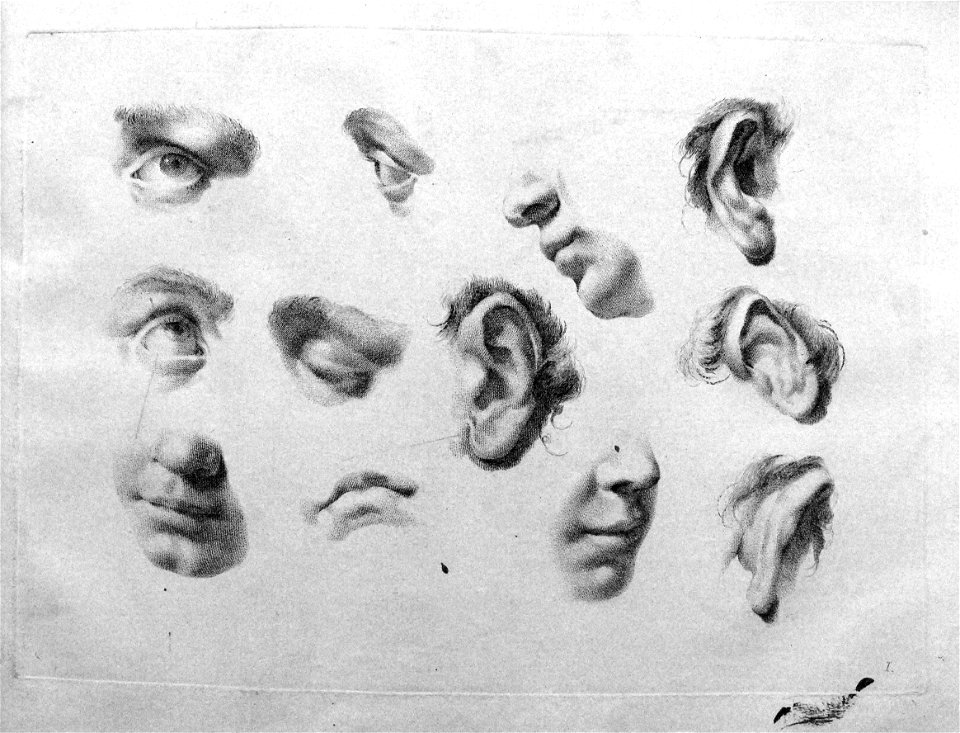 Marco Pitteri - Plate I Studies of eyes, ears and the lower part of the face; with shading. 1760, 1860,1208.279