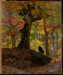Maria Klass-Kazanowska - Wild pigs in the forest - MP 862 MNW - National Museum in Warsaw