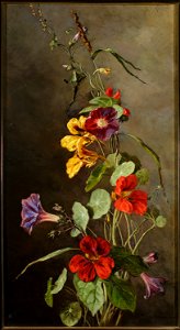 Maria Klass-Kazanowska - Flowers – Nasturtiums - MP 1044 MNW - National Museum in Warsaw