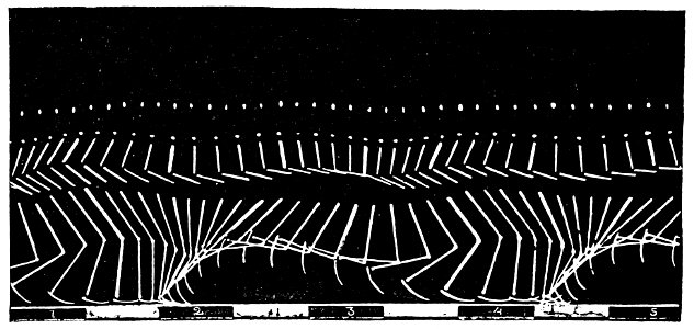 Marey La méth. graphique 0754