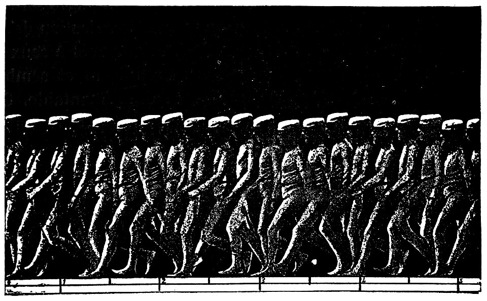 Marey La méth. graphique 0752