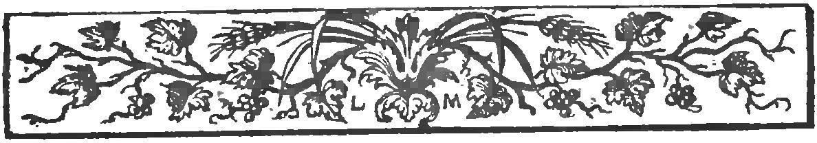 Marguerite de Navarre - L’Heptaméron, éd. Lincy & Montaiglon, tome IV (page 118 crop)