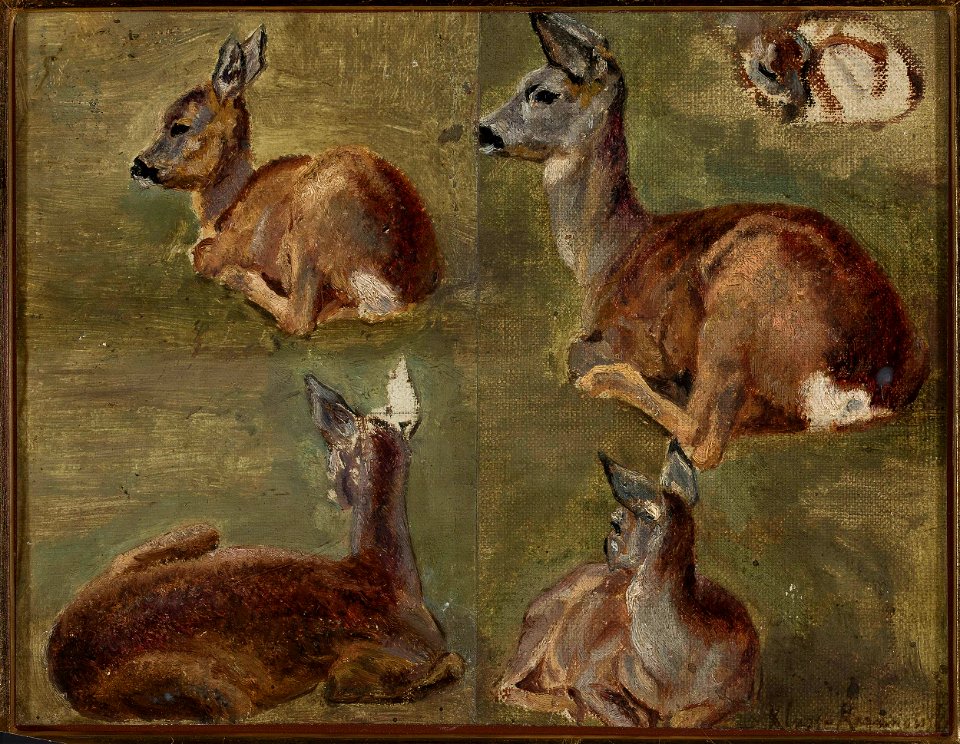 Maria Klass-Kazanowska - Sketches of fawns - MP 864 MNW - National Museum in Warsaw