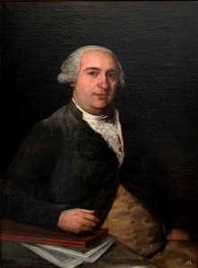 Mariano Ferrer y Aulet by Francisco de Goya