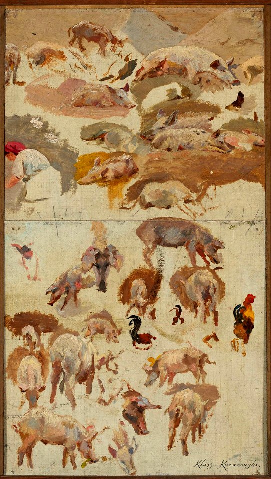 Maria Klass-Kazanowska - Studies of pigs - MP 865 MNW - National Museum in Warsaw
