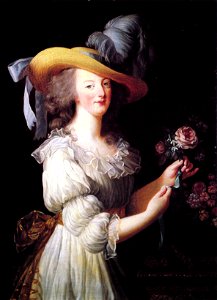 Marie Antoinette rose