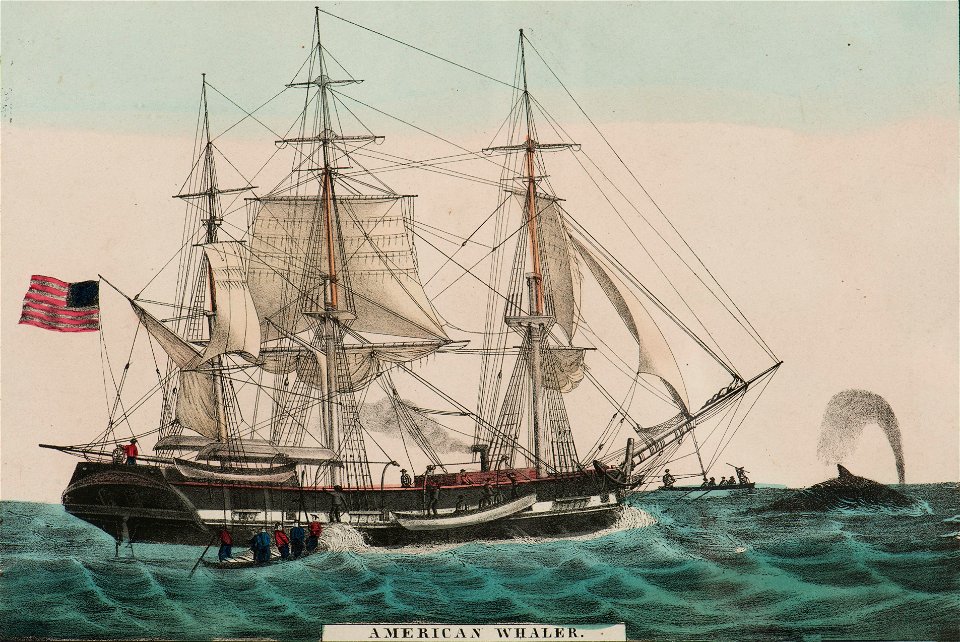 Marinmotiv-Valfångstfartyg med fångstbåtar - Sjöhistoriska museet - S 0104