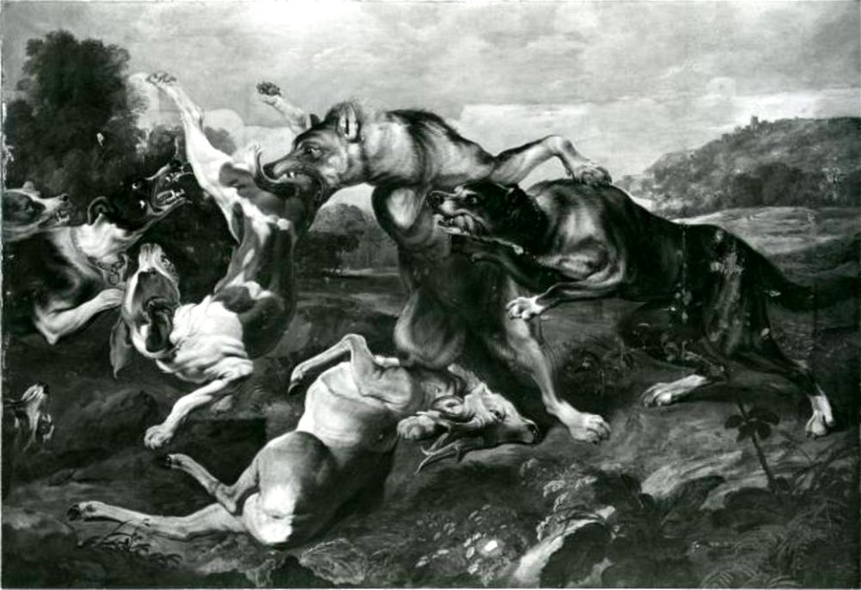 Mogelijk Paul de Vos - Gevecht tussen twee wolven en een meute jachthonden - EU0735 - The Torrie Collection