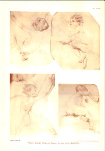 Marioton-1905-Guérinet-1-26