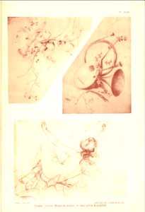 Marioton-1905-Guérinet-1-57