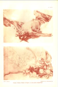 Marioton-1905-Guérinet-1-29
