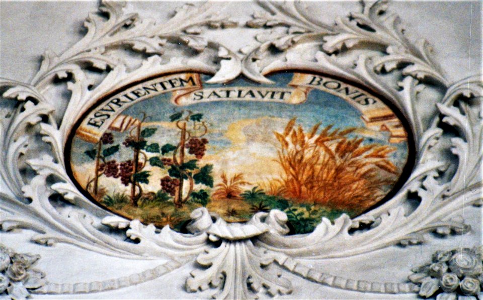 Mariä Himmelfahrt (Kirchhaslach) 13