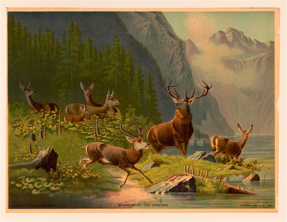 Monarchs of the mountains LCCN2003690938