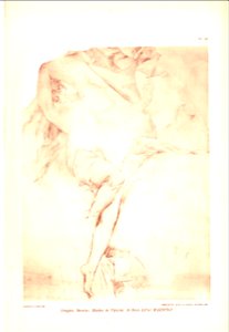 Marioton-1905-Guérinet-1-39
