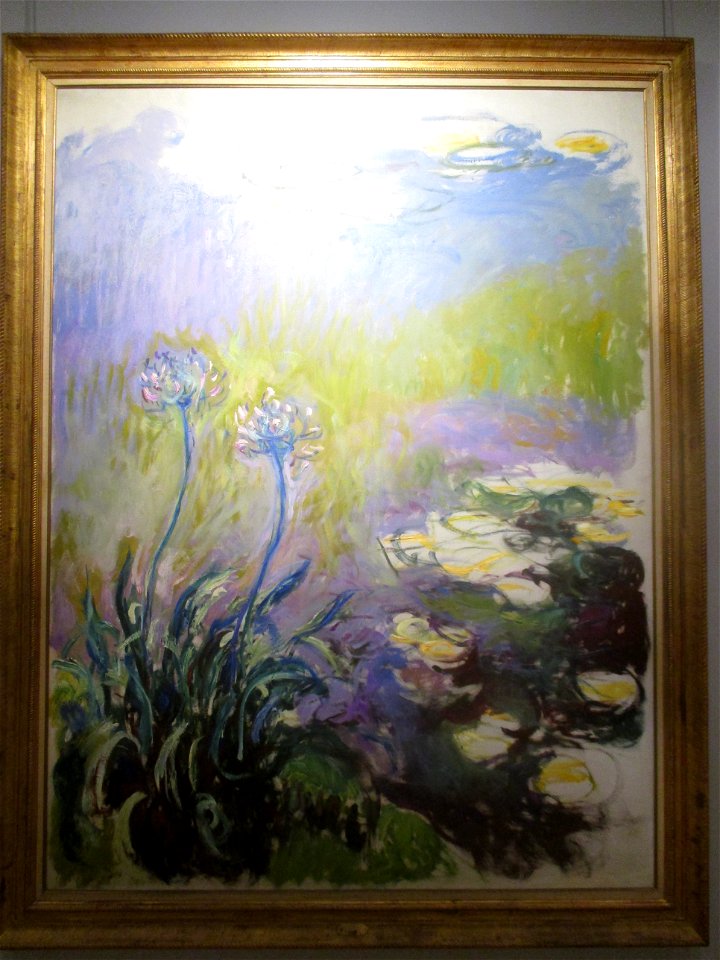 Monet Agapanthes Marmottan