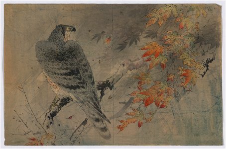 Momiji ni washi LCCN2008660121