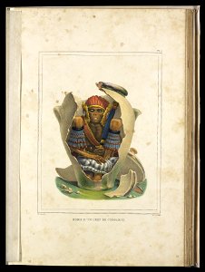Momie D'Un Chef Coroados (2), da Coleção Brasiliana Iconográfica