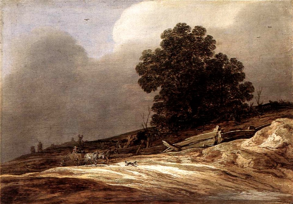 Molyn dunes