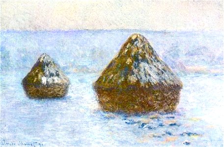 Monet w1275