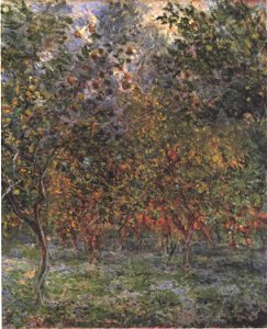 Monet - Unter Zitronenbäumen