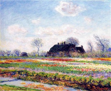 Monet - Tulpenfelder in Sassenheim - 1886