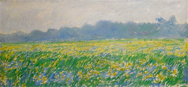 Monet w1138