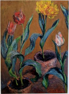 Monet pots of tulips w958. Free illustration for personal and commercial use.